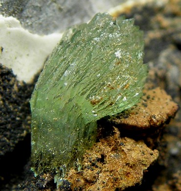 Aip(AipCg, Anapaite)gʐ^