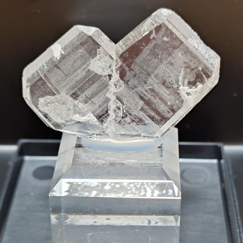 �y���[�Y�̓��{�j���o��